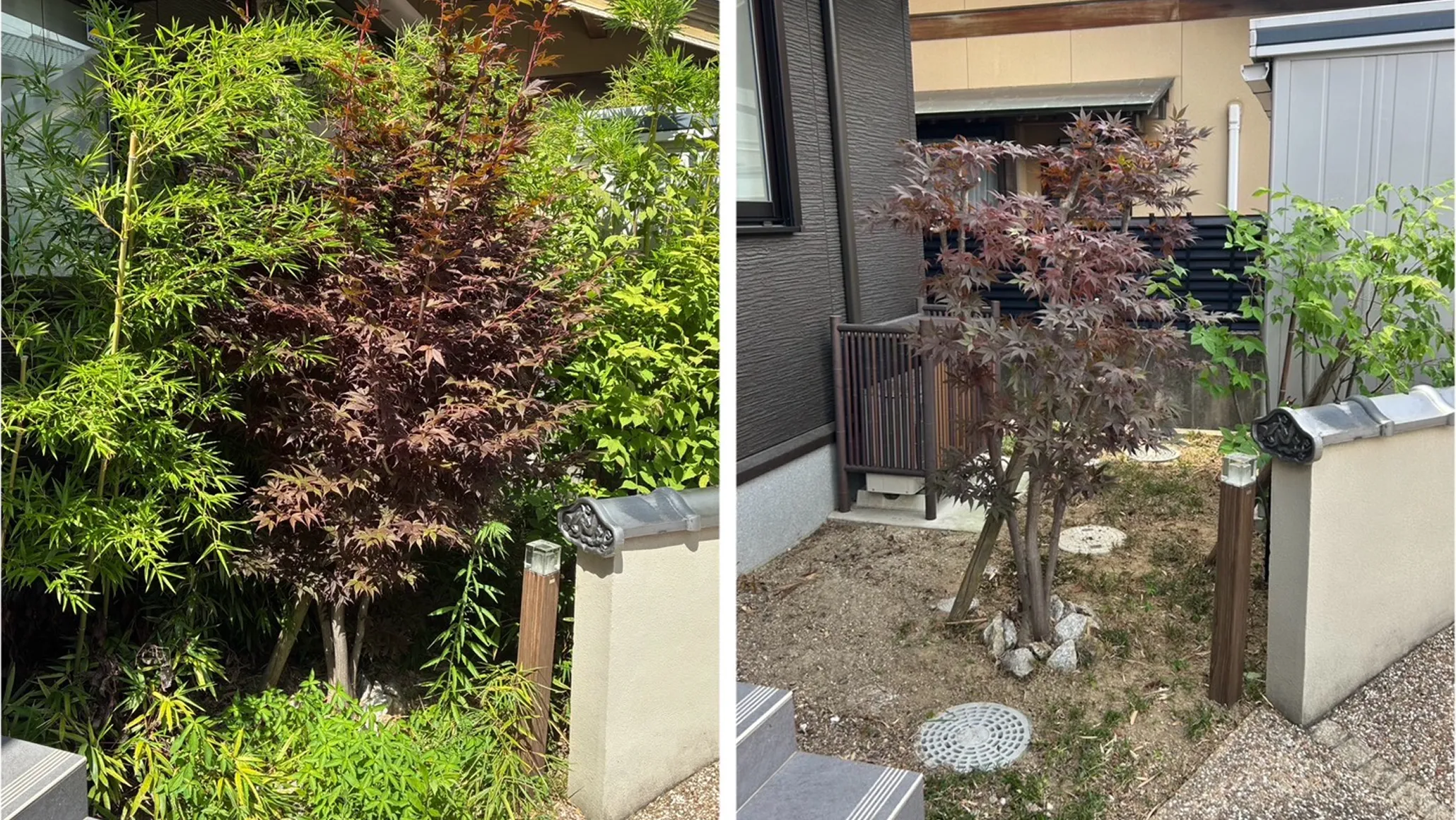 庭のお手入れ